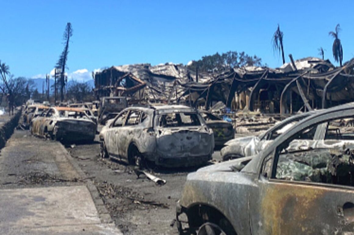 Rich investors exposed for trying to get Lahaina wildfire victims to sell land amid disaster | The Independent